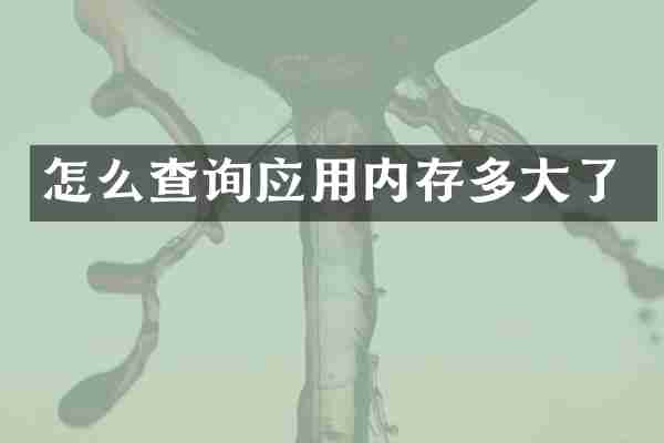 怎么查询应用内存多大了