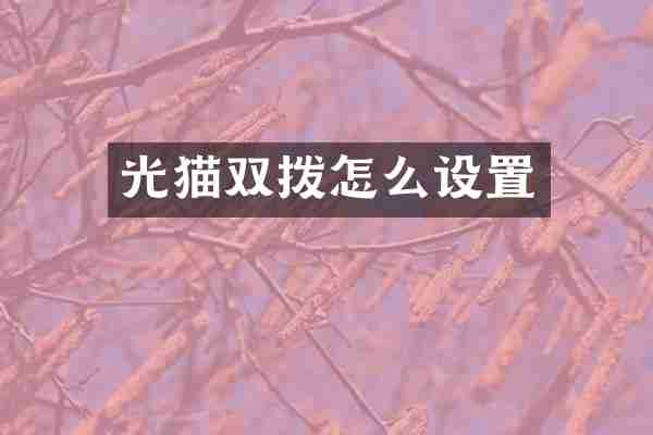光猫双拨怎么设置