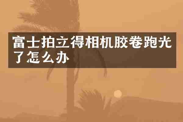 富士拍立得相机胶卷跑光了怎么办