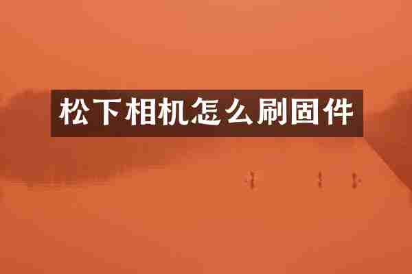 松下相机怎么刷固件