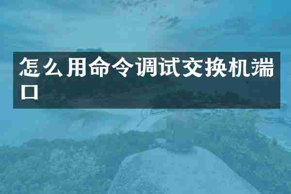 怎么用命令调试交换机端口