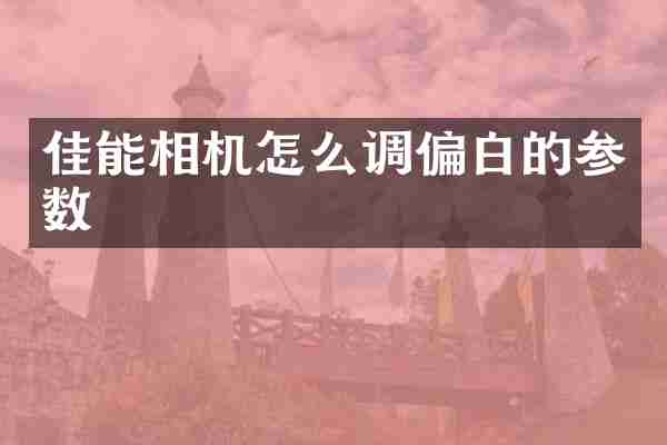 佳能相机怎么调偏白的参数