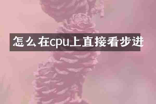 怎么在cpu上直接看步进