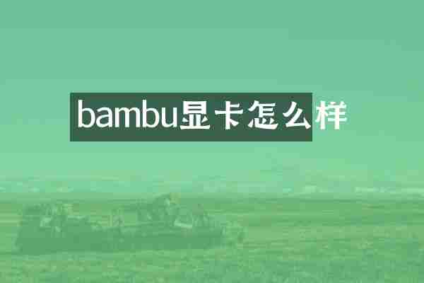 bambu显卡怎么样