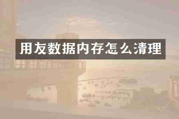 用友数据内存怎么清理