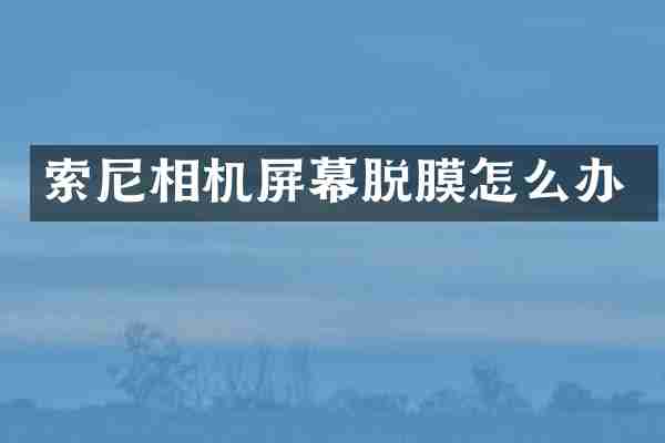 索尼相机屏幕脱膜怎么办