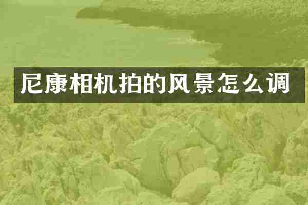 尼康相机拍的风景怎么调