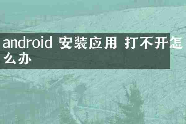 android 安装应用 打不开怎么办