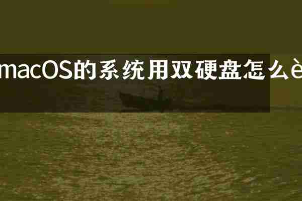 macOS的系统用双硬盘怎么设