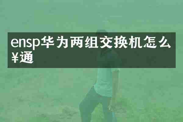 ensp华为两组交换机怎么接通