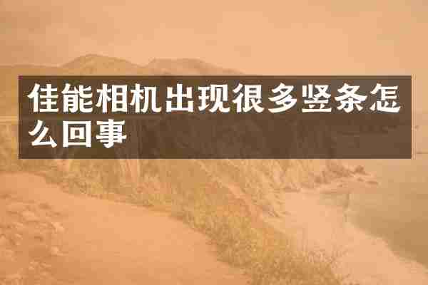 佳能相机出现很多竖条怎么回事