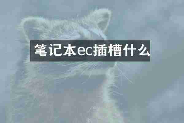 笔记本ec插槽什么