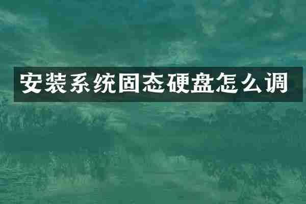 安装系统固态硬盘怎么调