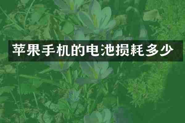 苹果手机的电池损耗多少