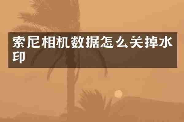 索尼相机数据怎么关掉水印