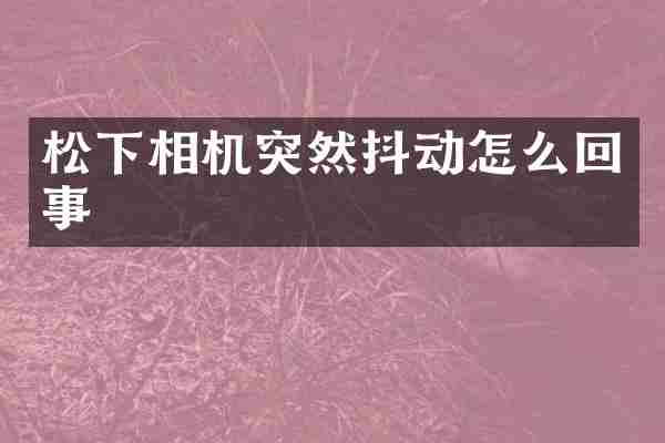 松下相机突然抖动怎么回事