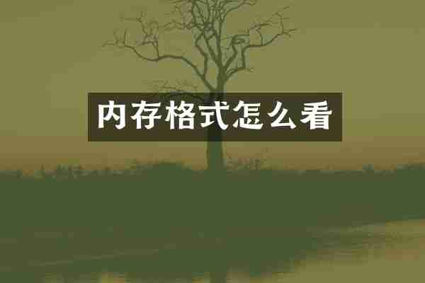 内存格式怎么看