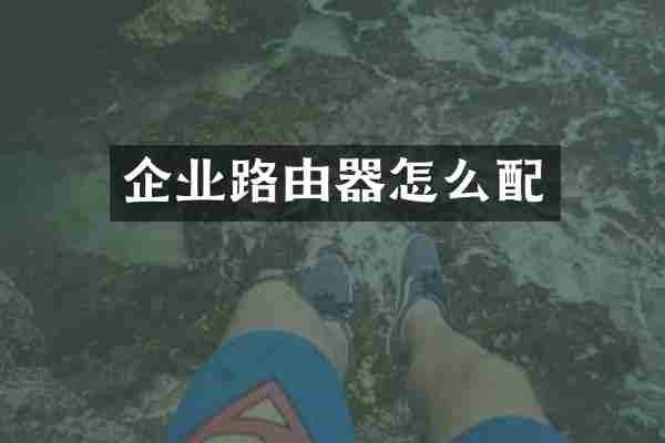 企业路由器怎么配