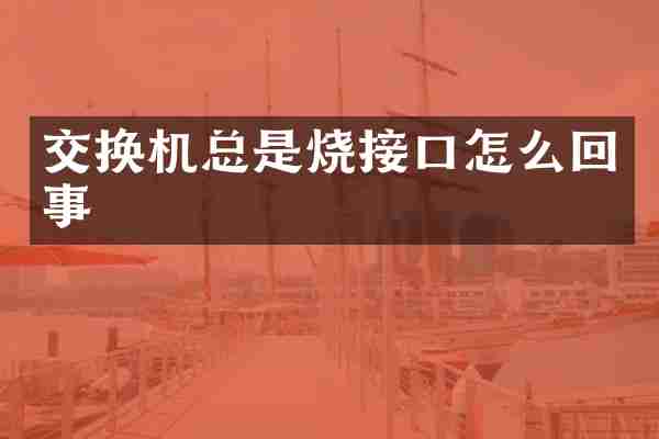 交换机总是烧接口怎么回事