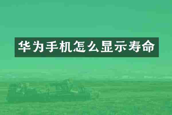 华为手机怎么显示寿命