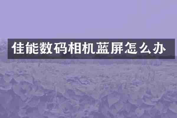 佳能数码相机蓝屏怎么办