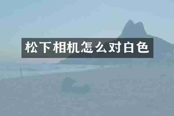 相机怎么对白色