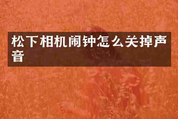 相机闹钟怎么关掉声音