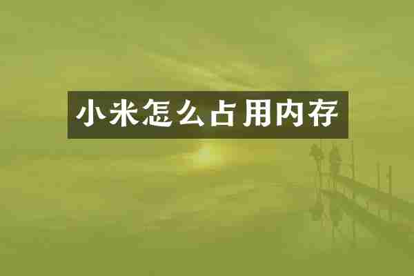 小米怎么占用内存