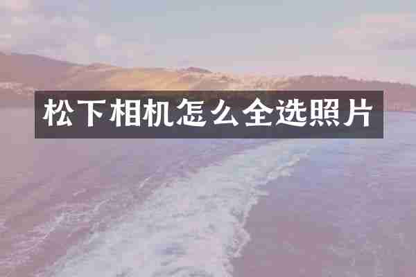 相机怎么全选照片