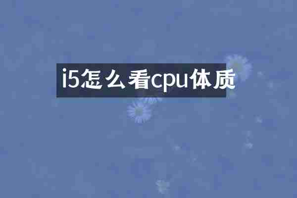 i5怎么看cpu体质