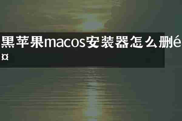 黑苹果macos安装器怎么删除