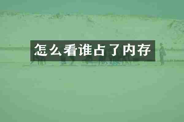 怎么看谁占了内存