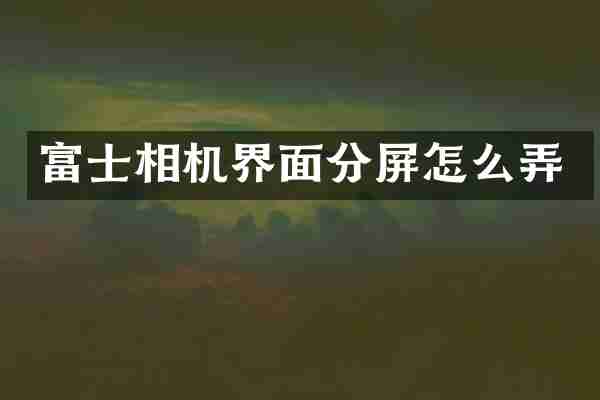 富士相机界面分屏怎么弄
