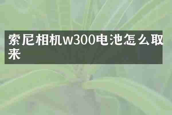 索尼相机w300电池怎么取出来
