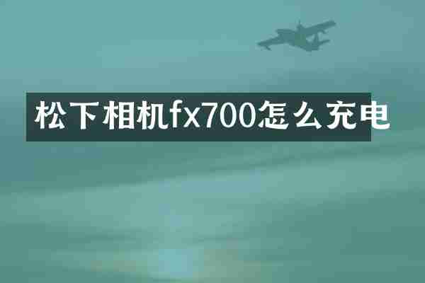 相机fx700怎么充电