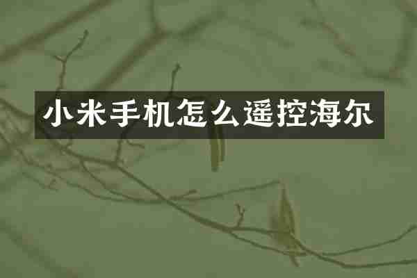小米手机怎么遥控海尔