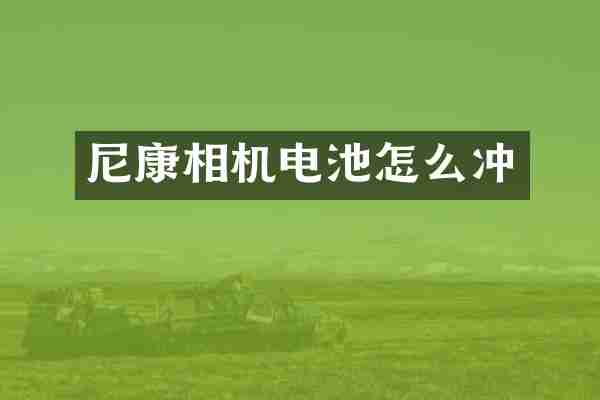 尼康相机电池怎么冲