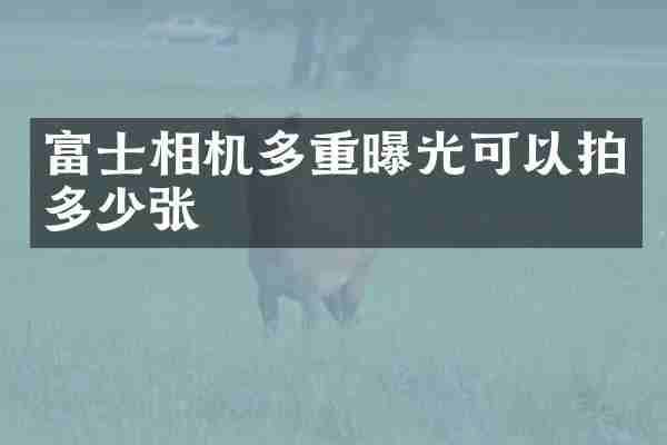 富士相机多重曝光可以拍多少张
