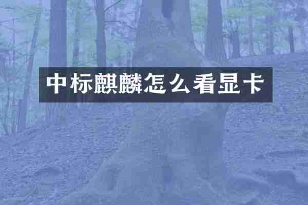 中标麒麟怎么看显卡