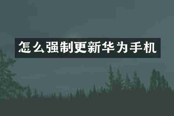 怎么强制更新华为手机