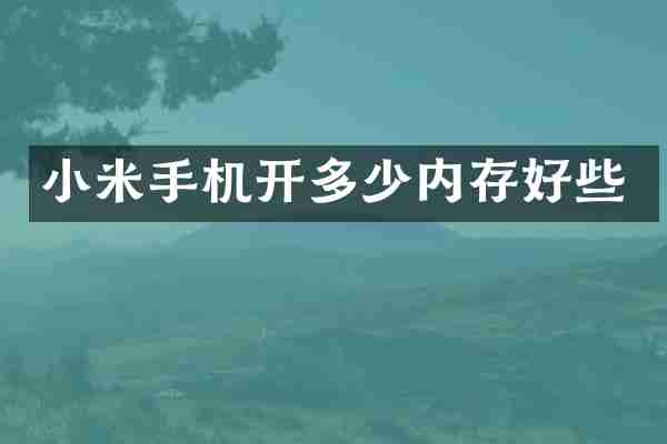 小米手机开多少内存好些