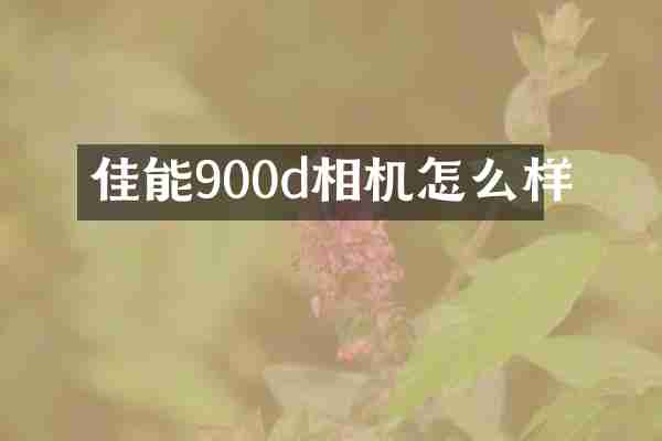 佳能900d相机怎么样