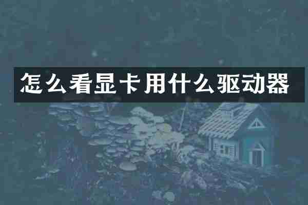 怎么看显卡用什么驱动器