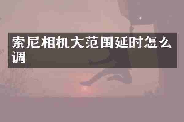 索尼相机大范围延时怎么调