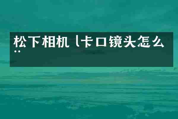 松下相机 l卡口镜头怎么用