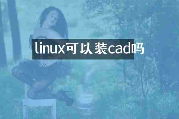 linux可以装cad吗