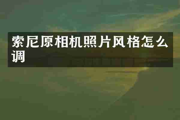 索尼原相机照片风格怎么调