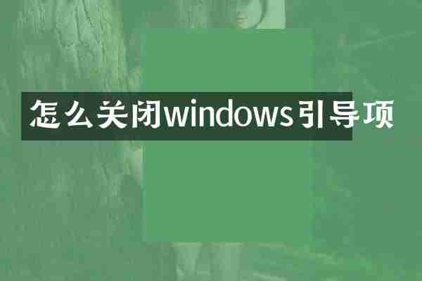 怎么关闭windows引导项