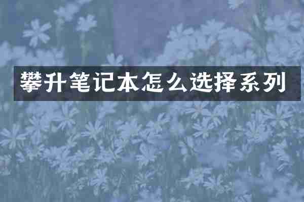攀升笔记本怎么选择系列