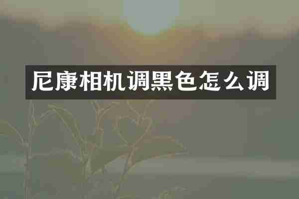 尼康相机调黑色怎么调